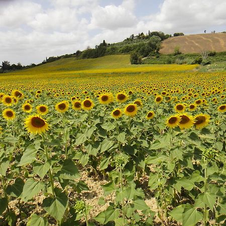 Tenuta Di Colle Alberti Agriturismo Villa Cerreto Guidi Eksteriør bilde