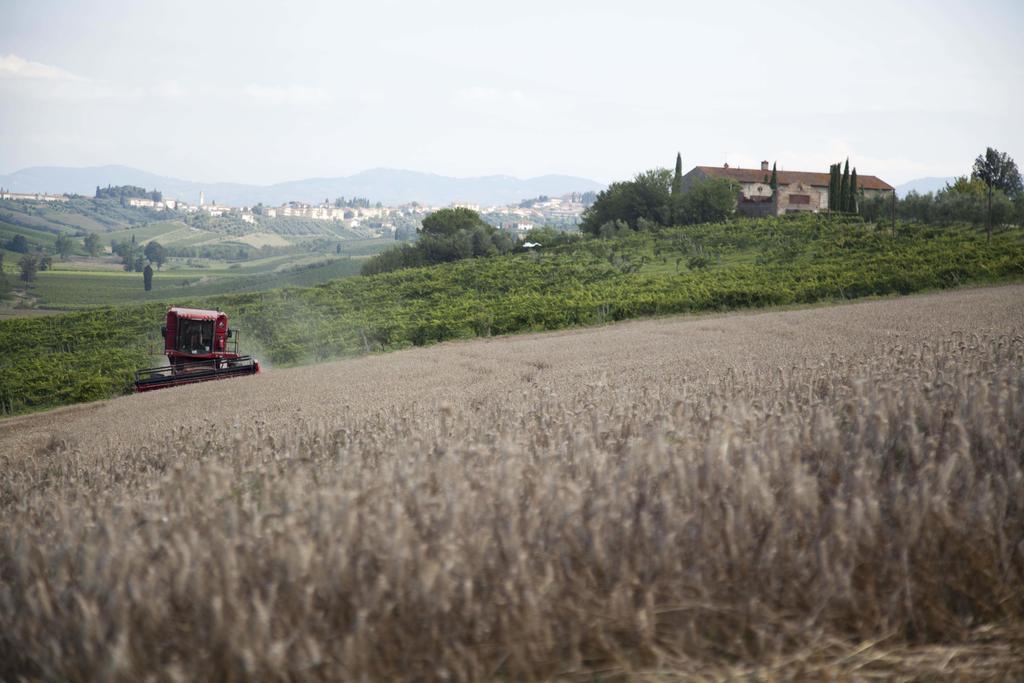 Tenuta Di Colle Alberti Agriturismo Villa Cerreto Guidi Eksteriør bilde