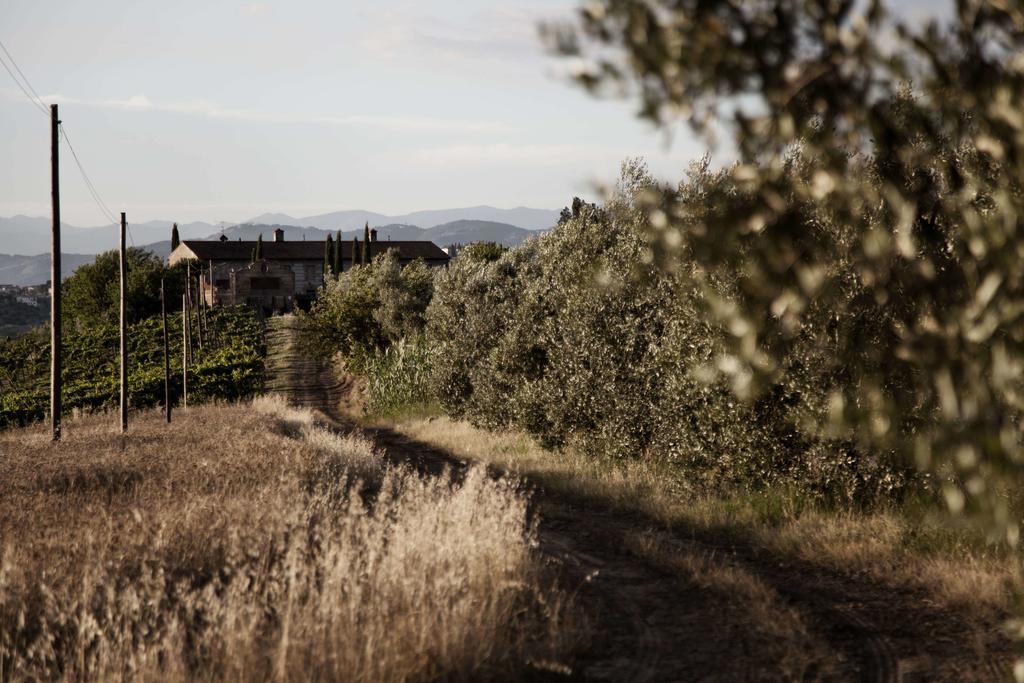 Tenuta Di Colle Alberti Agriturismo Villa Cerreto Guidi Eksteriør bilde