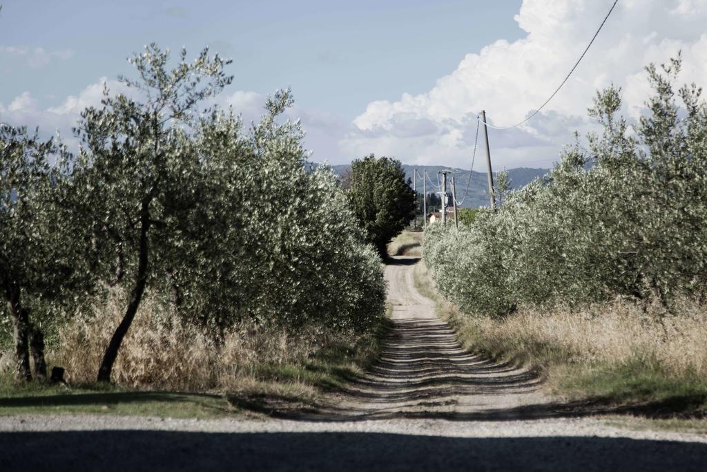Tenuta Di Colle Alberti Agriturismo Villa Cerreto Guidi Eksteriør bilde