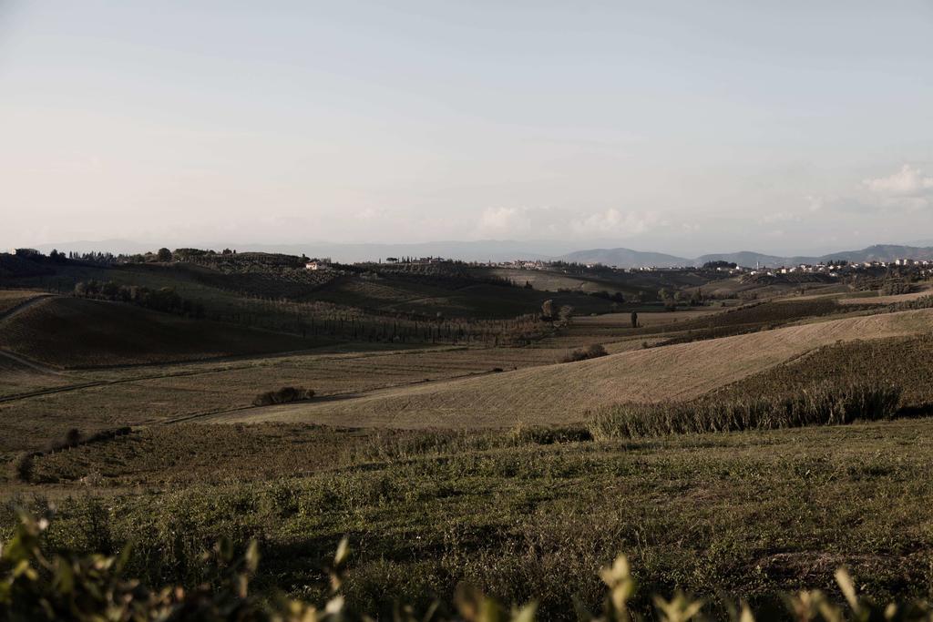 Tenuta Di Colle Alberti Agriturismo Villa Cerreto Guidi Eksteriør bilde