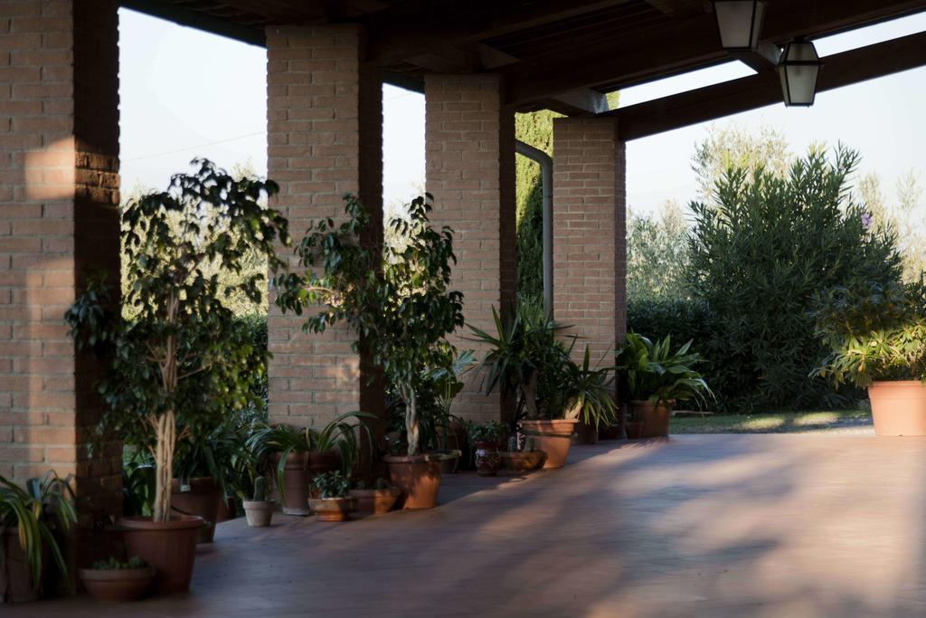 Tenuta Di Colle Alberti Agriturismo Villa Cerreto Guidi Eksteriør bilde